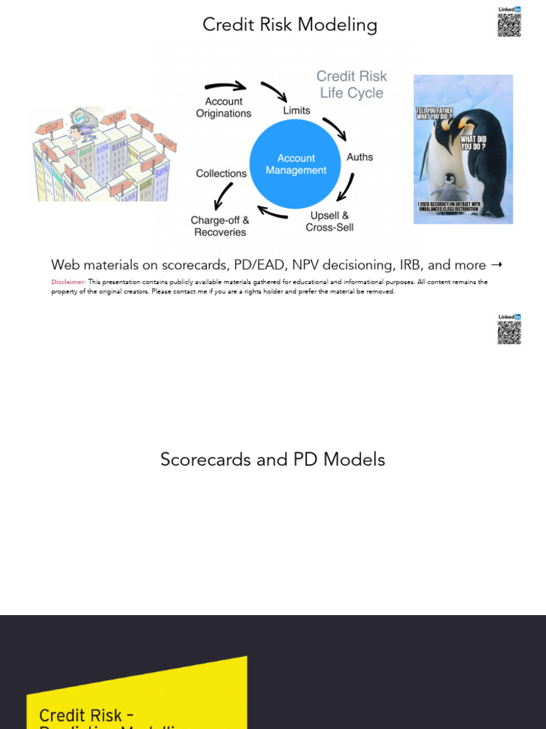 Credit Risk Modeling Guides and Tutorials 1754564012 | PDF