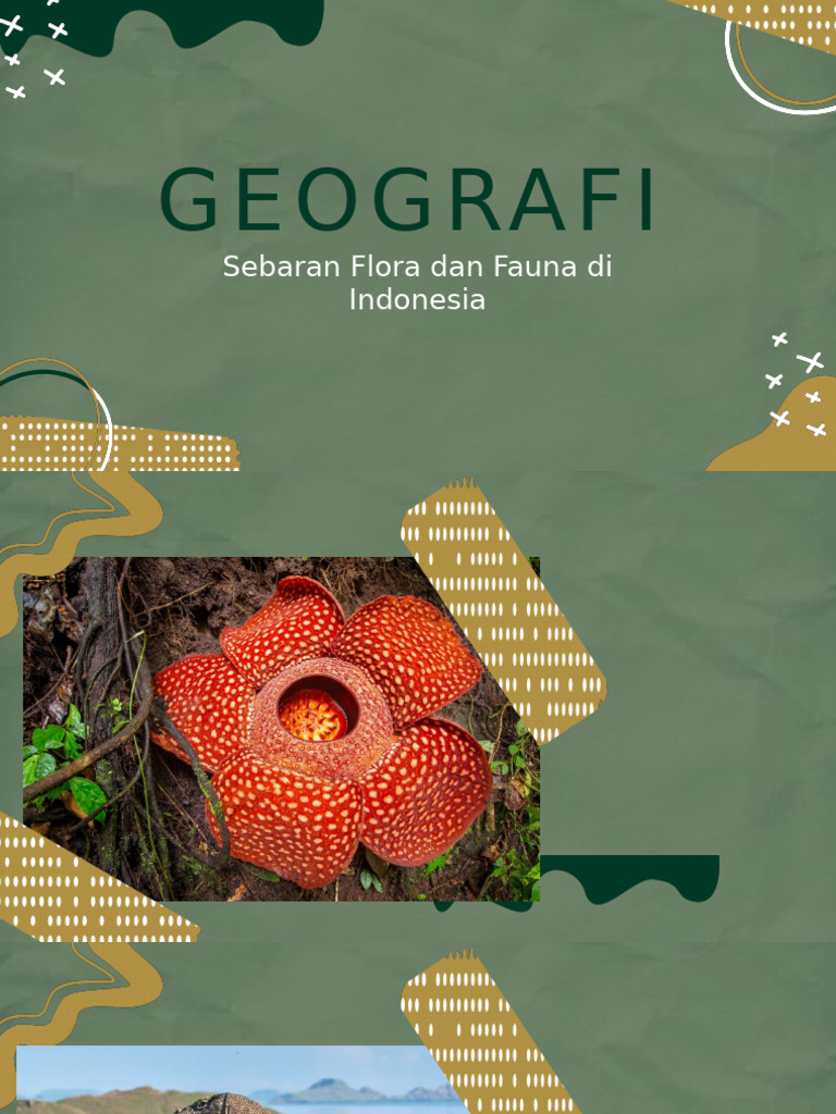 Powerpoint Sebaran Flora Fauna | PDF