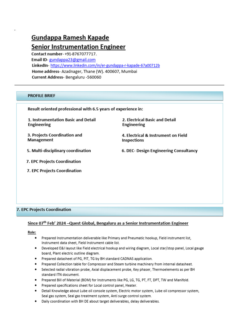 Senior Instrumentation Engineer Profile | PDF | Instrumentation ...