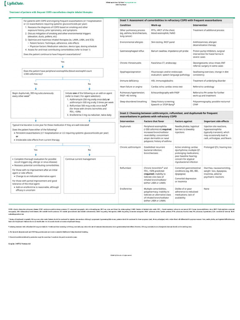 Managing Frequent COPD Exacerbations | PDF