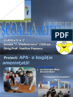 Proiect APA - Clasa A V-A C