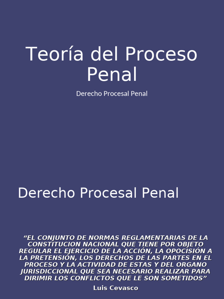 Teoría del Proceso Penal y Garantías | PDF | Ley procesal | Derecho penal
