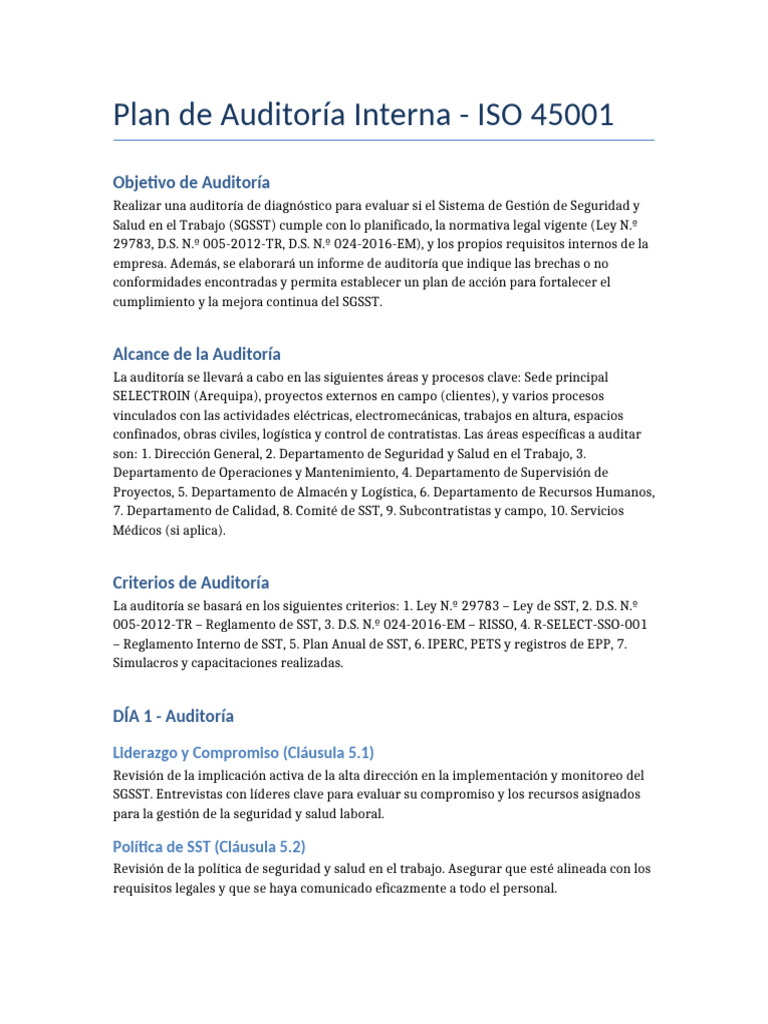 Auditoría Interna ISO 45001: Plan y Alcance | PDF | Auditoría ...