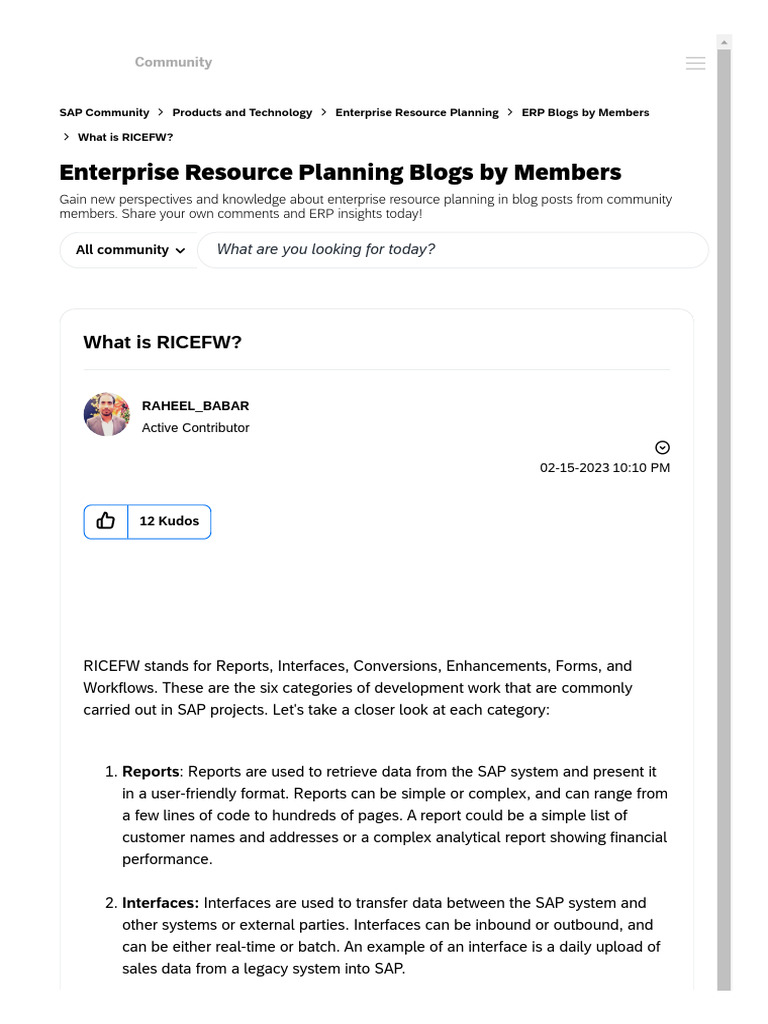 RICEFW | PDF | Enterprise Resource Planning | Product Lifecycle