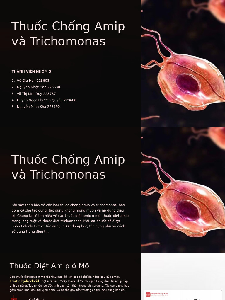 Thuoc Chong Amip Va Trichomonas | PDF