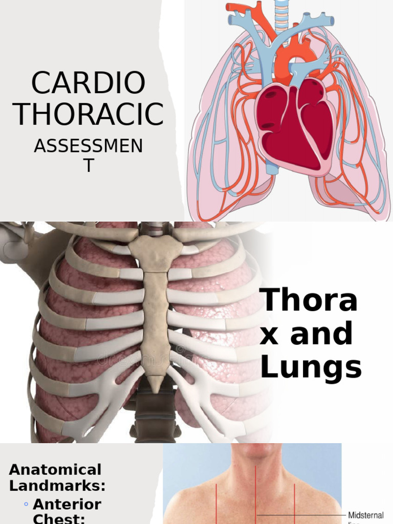 Comprehensive Cardiac and Thoracic Assessment | PDF | Thorax | Pulse