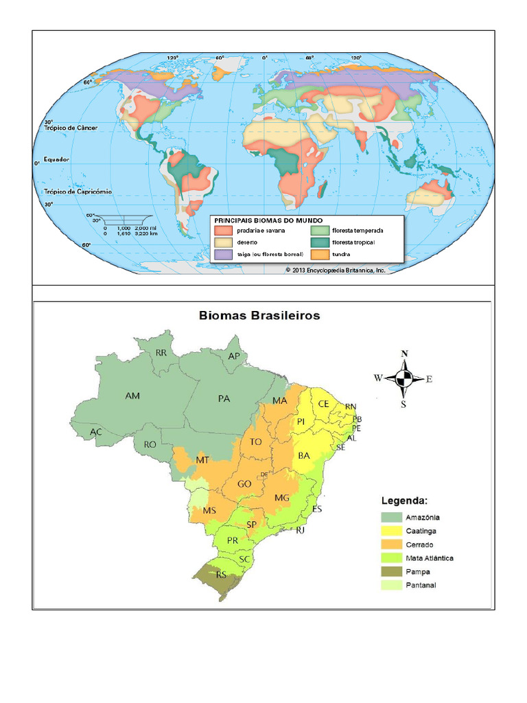 8 Biomas Do Mundo e Do Brasil 71 | PDF