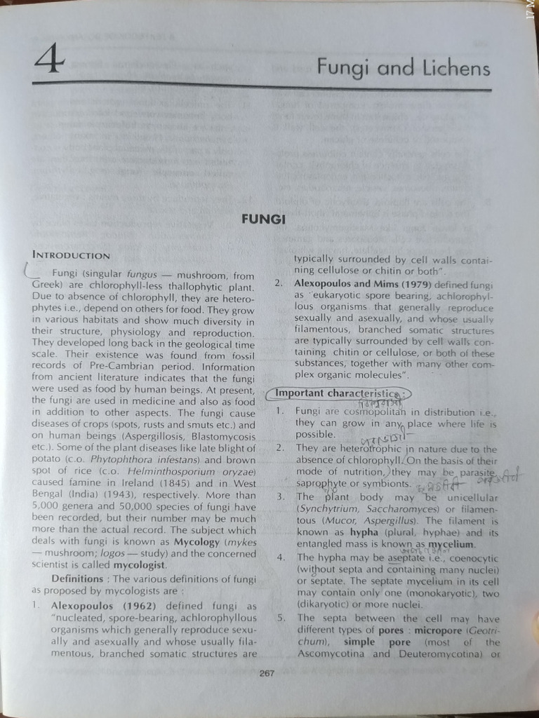 Important Characteristics of Fungi | PDF | Fungus | Mycology