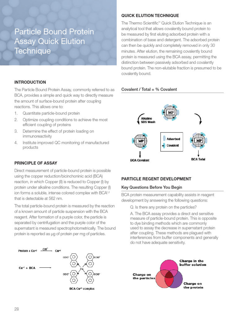 Protein Quantification On MPs (Using MicroBCA Pierce) | PDF ...
