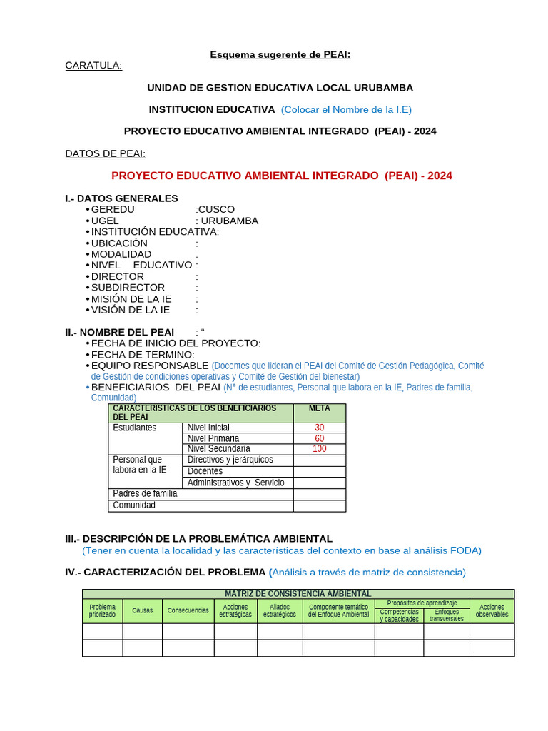 Esquema Sugerente de PEAI 2024 1 1 | PDF | Educación de la primera ...