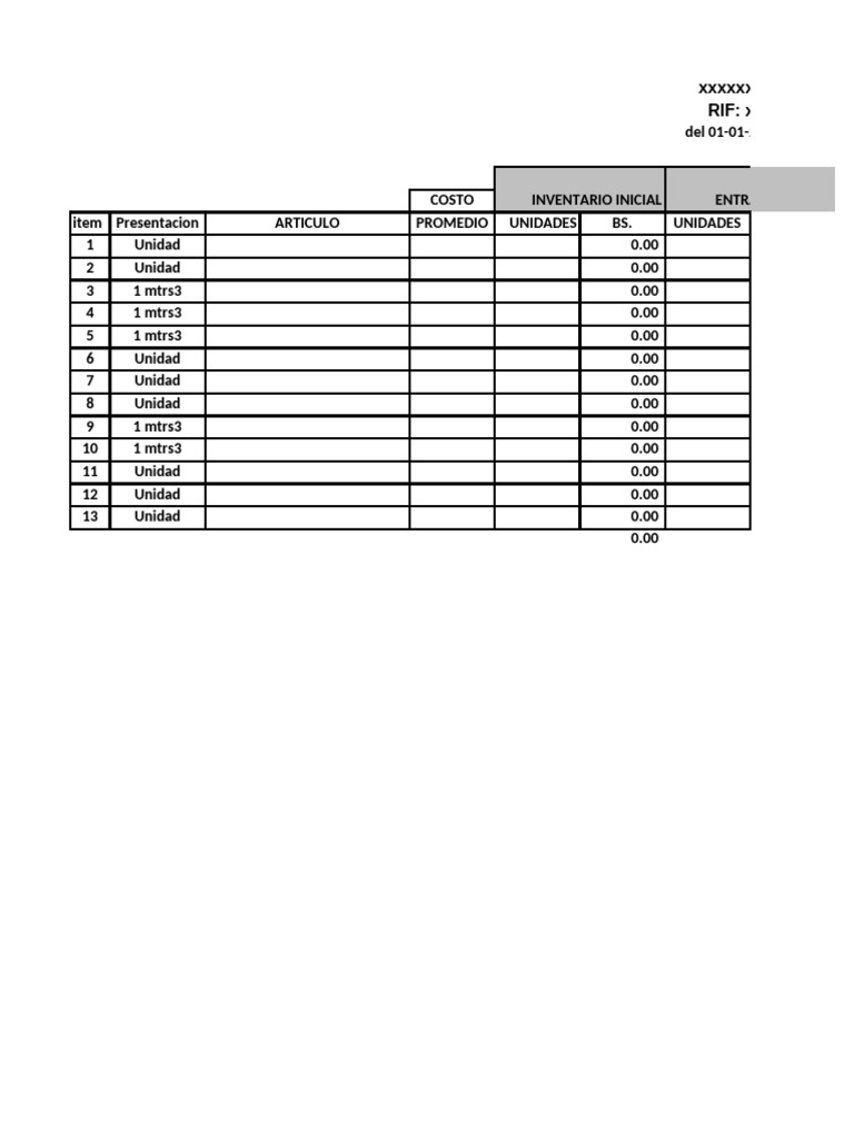 Initial Inventory Report 2025 | PDF