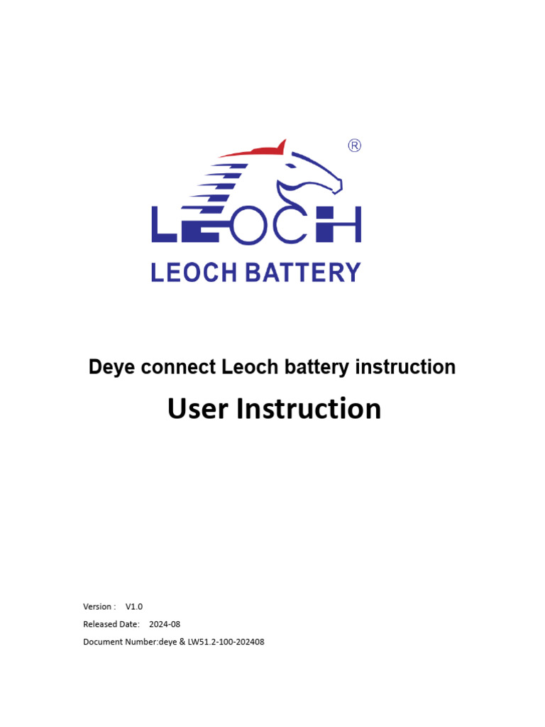Leoch Lithium Battery User Manual | PDF | Computer Engineering | Computing
