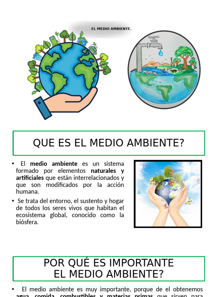 Importancia y Cuidado del Medio Ambiente | PDF | Entorno natural ...