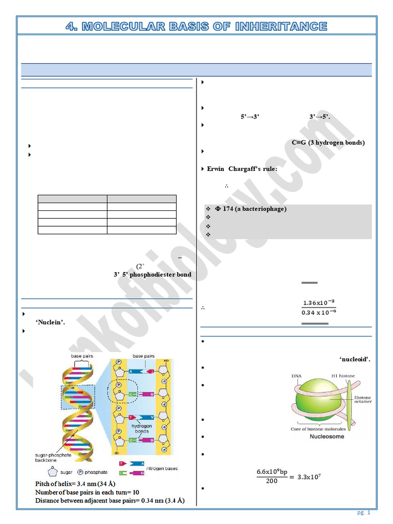 DNA and RNA: Structure and Functions | PDF | Operon | Genetic Code