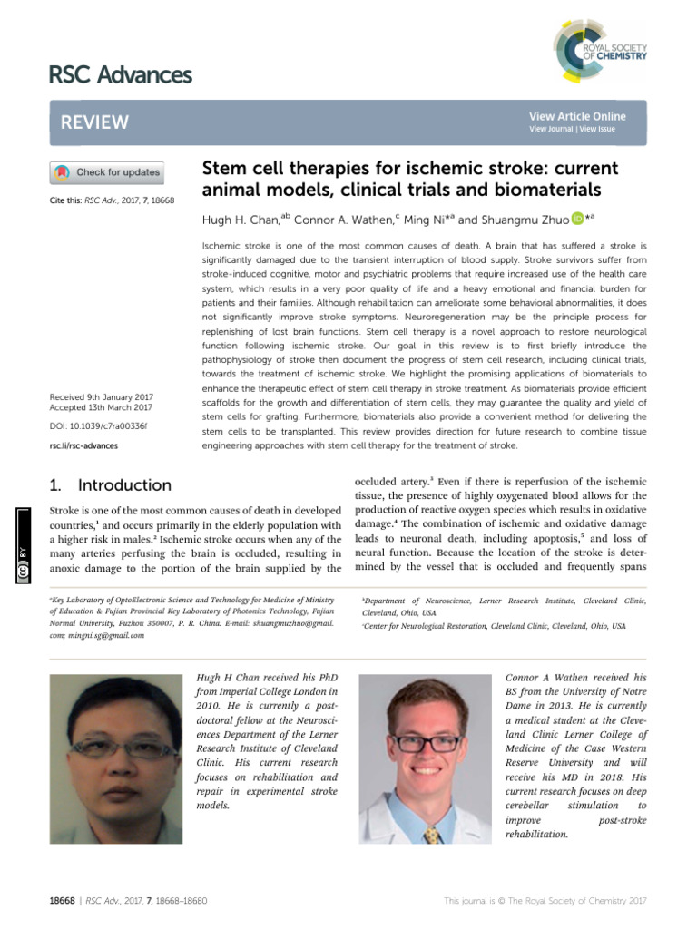 Stem Cell Therapy for Ischemic Stroke | PDF | Mesenchymal Stem Cell ...