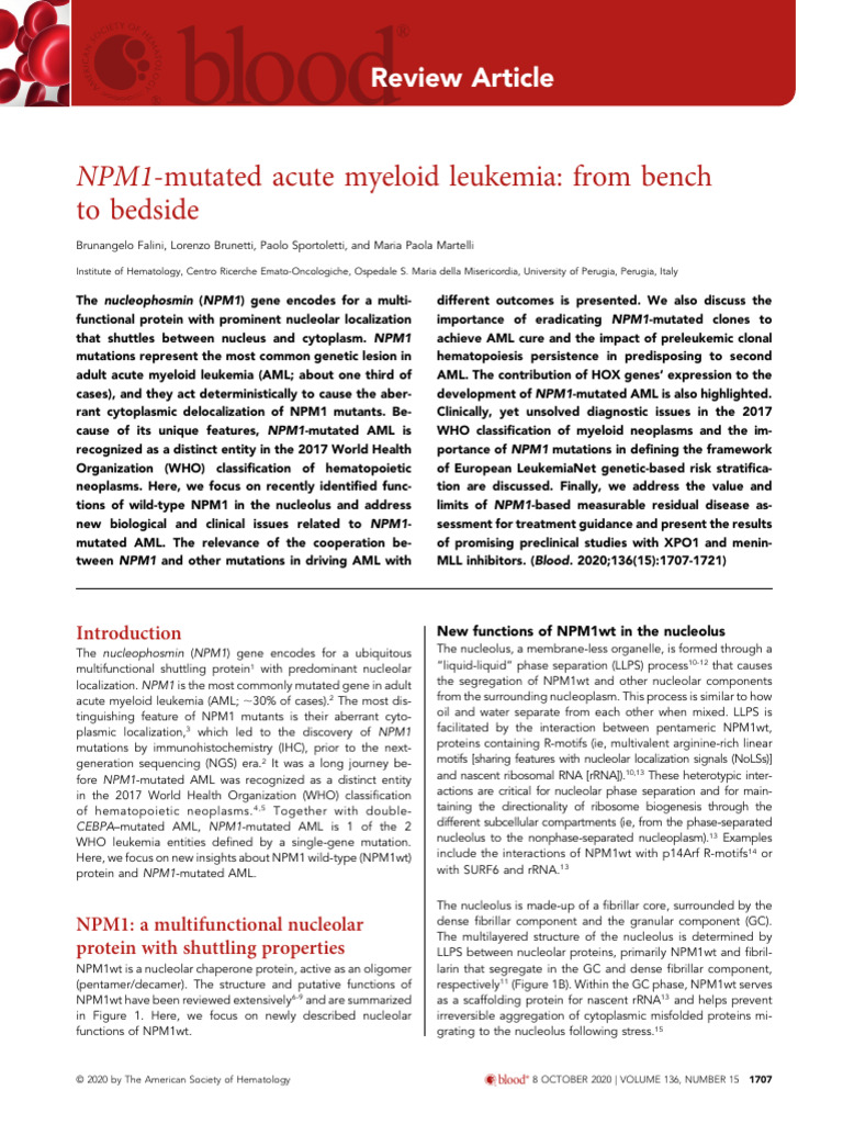 NPM1mutated Acute Myeloid Leukemia From Bench | PDF | Molecular ...