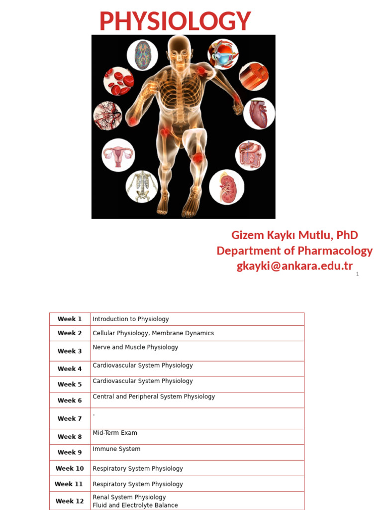 Overview of Human Physiology Topics | PDF | Homeostasis | Physiology