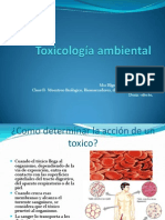Toxicología Ambiental-Clase 2