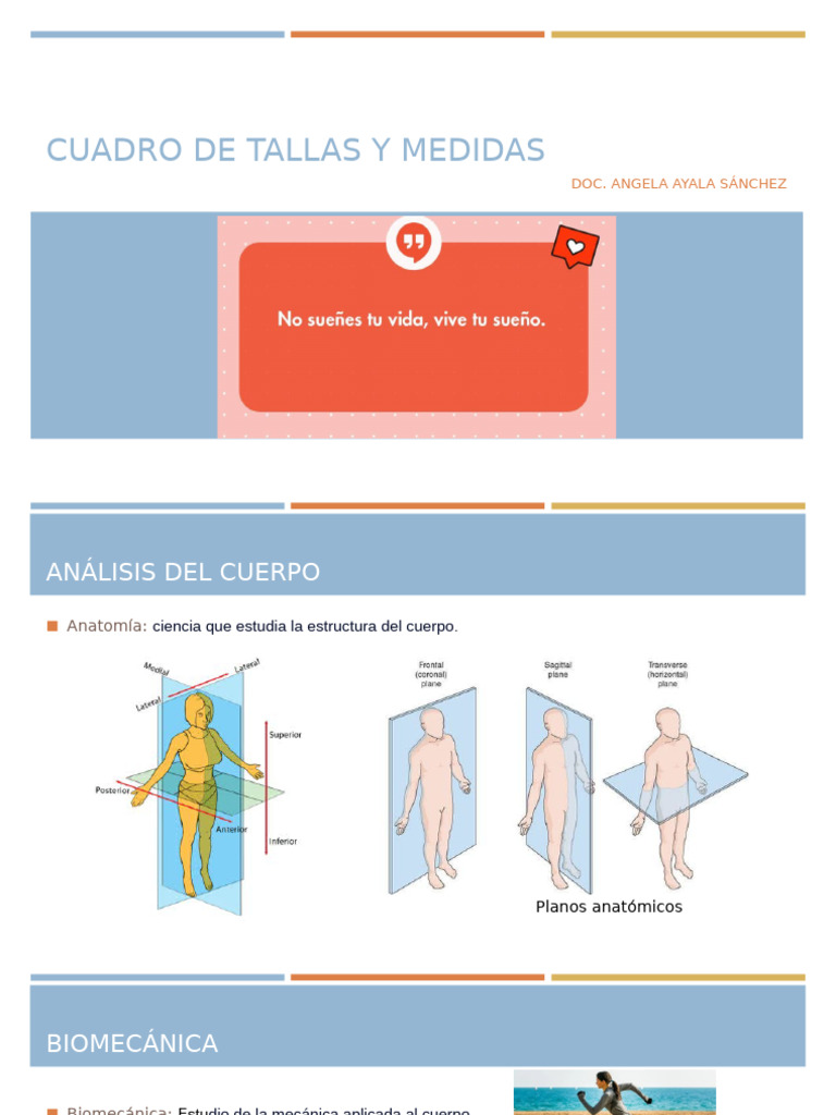 Cuadro de Tallas, Medidas y Simbología | PDF