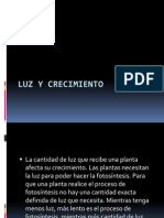 Luz y crecimiento