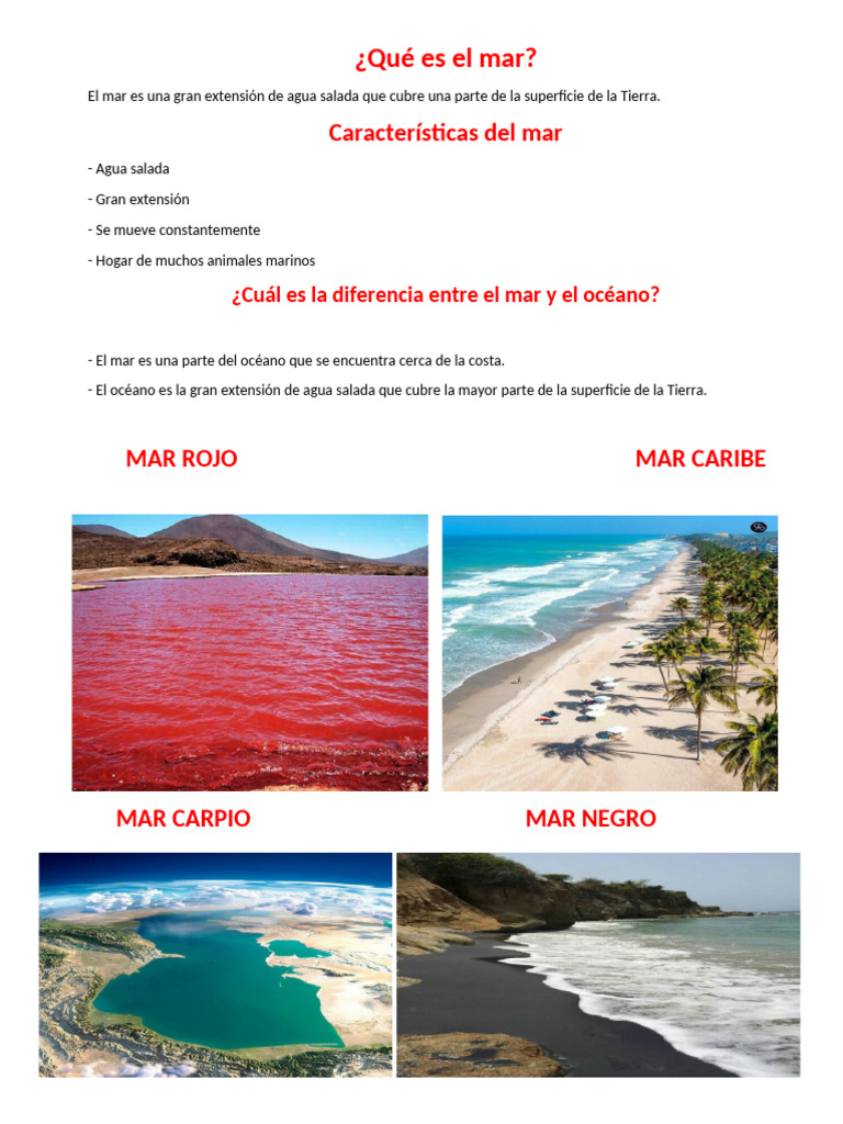 Definición y características del mar | PDF