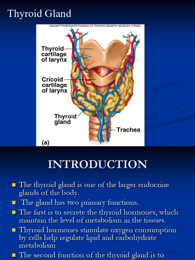 Introduction to the Thyroid Gland | PDF | Thyroid | Adrenocorticotropic ...