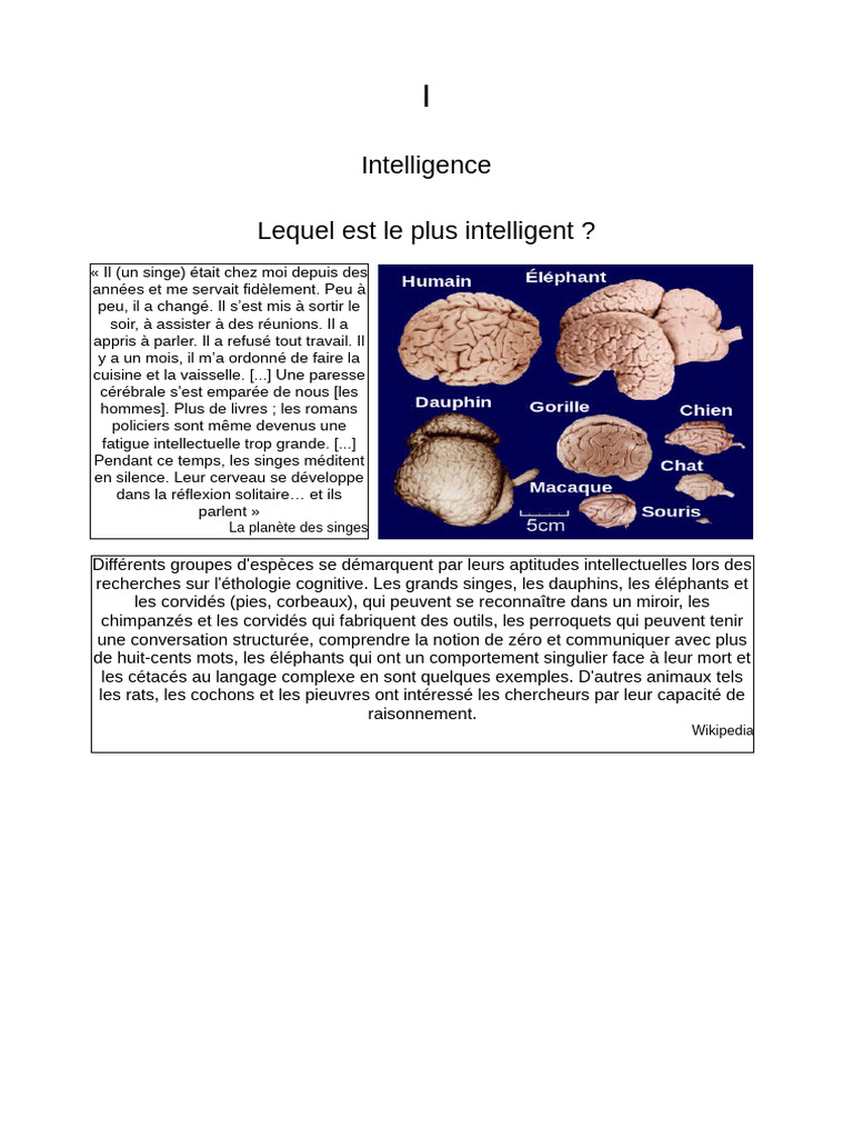 Intelligence animale : capacités cognitives comparées | PDF