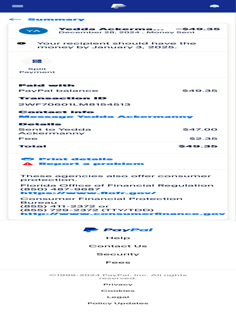 PayPal Transaction Summary Details | PDF