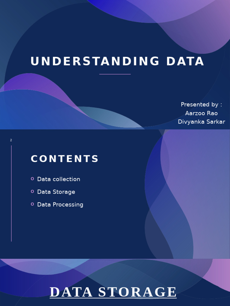 Understanding Data | PDF