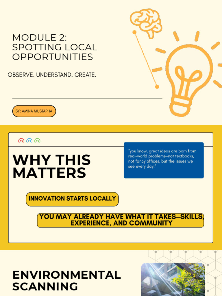 Spotting Local Opportunities for Innovation | PDF