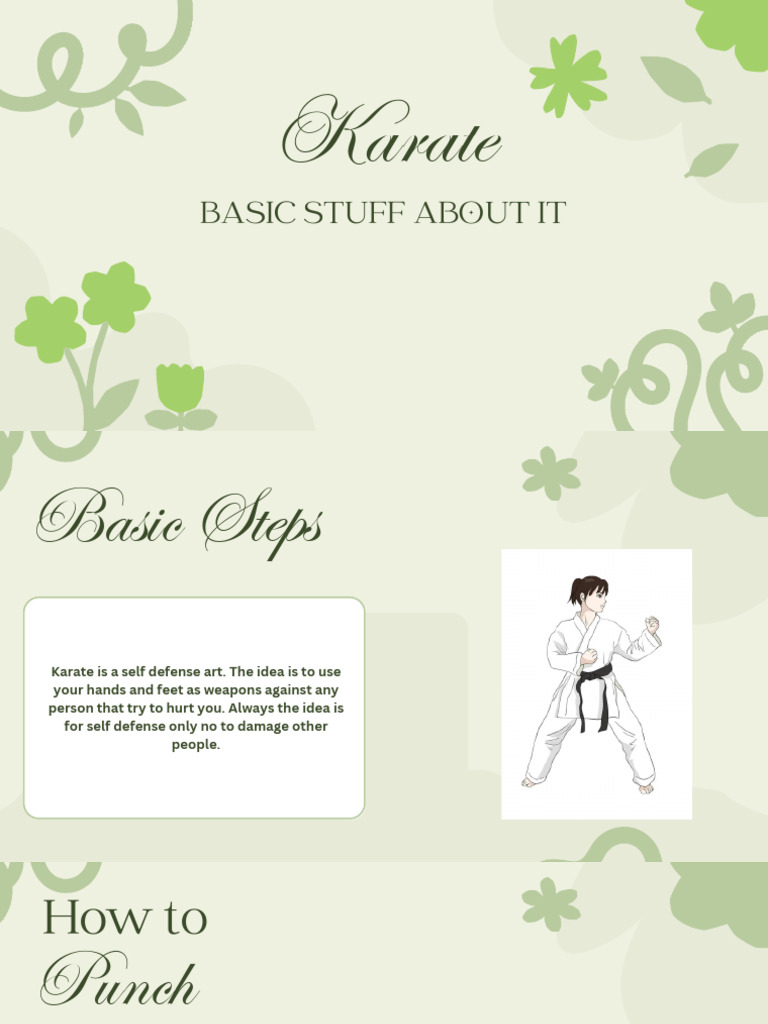 Karate Basic Stuff About It | PDF