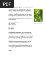 Download Mengkudu Mengkudu by ayuditac SN90181346 doc pdf