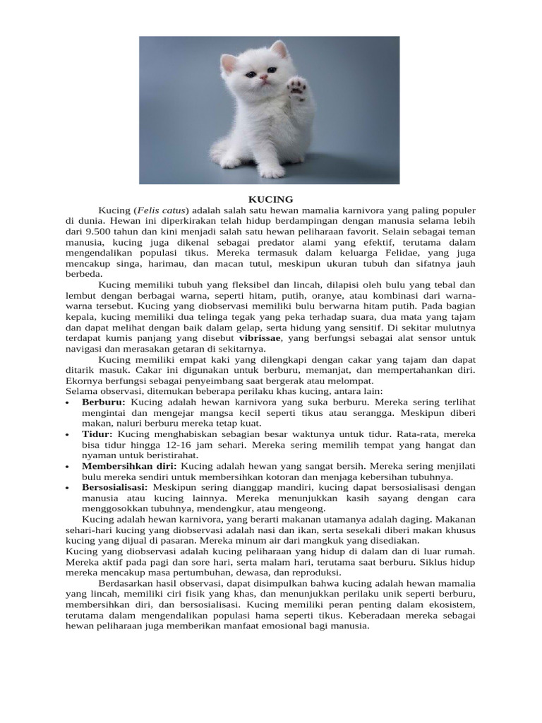 Ciri dan Peran Kucing dalam Ekosistem | PDF