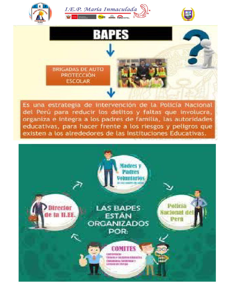 Funciones de las BAPES en Educación | PDF