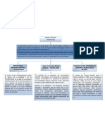 Mapa Conceptual 1