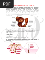 Composición Química del Cabello | PDF | Sistema tegumentario | Bioquímica