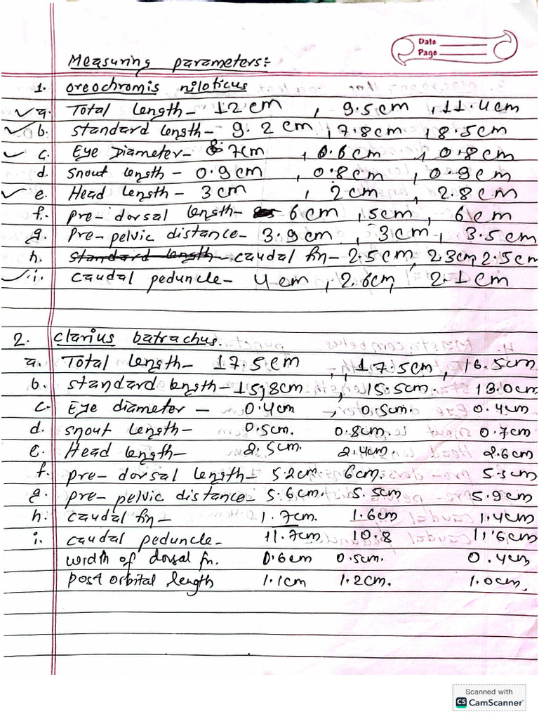 Measuring Parameters of Fish | PDF