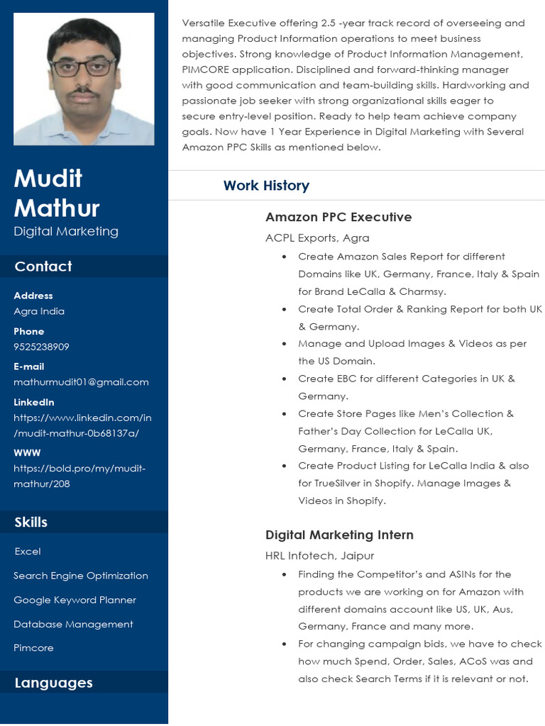 Digital Marketing Profile of Mudit Mathur | PDF | Search Engine ...
