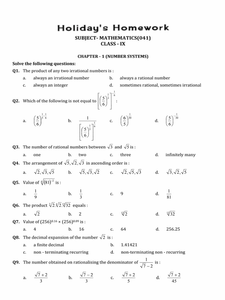 Maths H.H.W. Class 9 | PDF