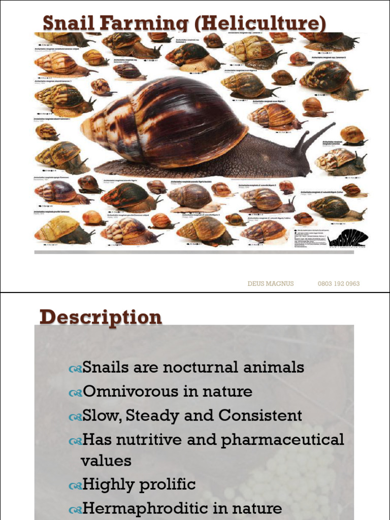 Understanding Heliculture Basics | PDF