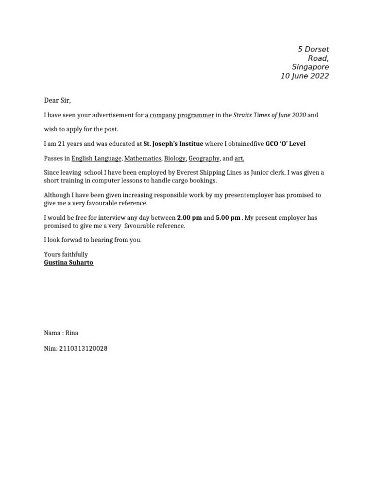 Job Application for Programmer Position | PDF