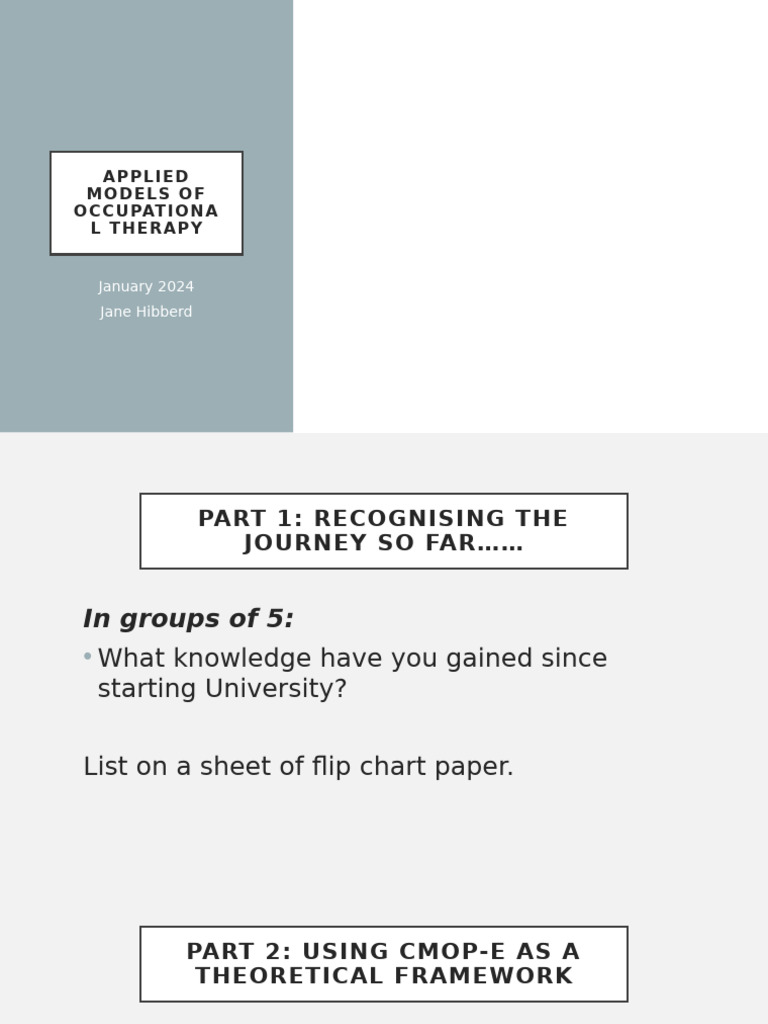 Occupational Therapy Models Overview | PDF