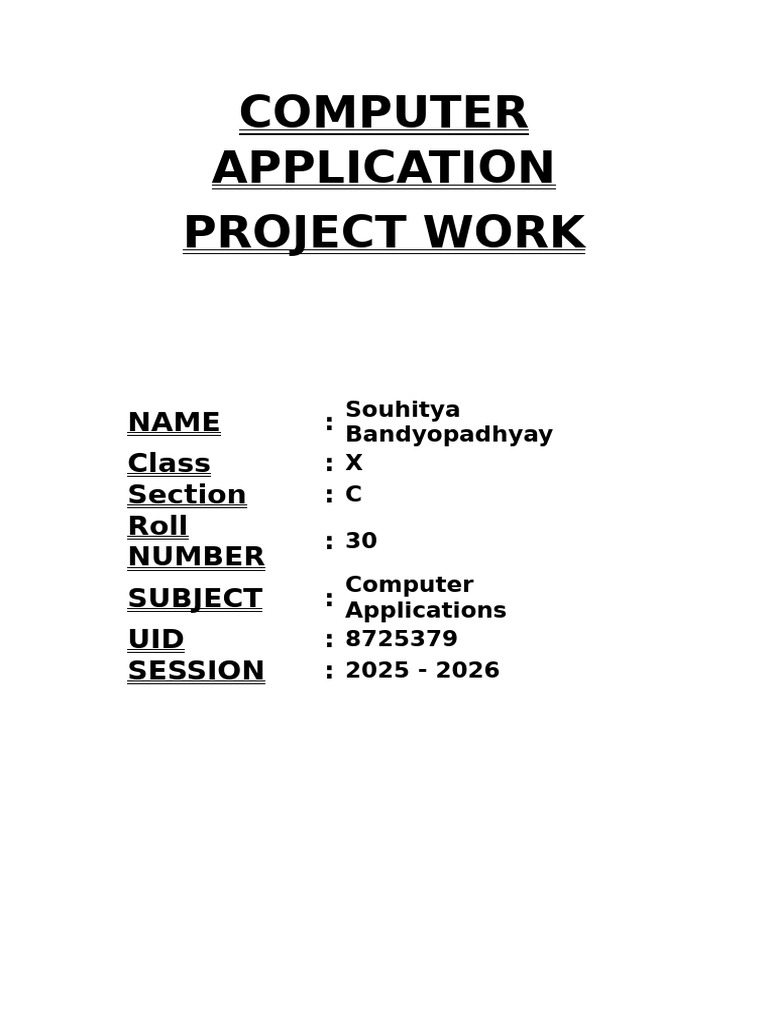 Computer Application Project Work | PDF