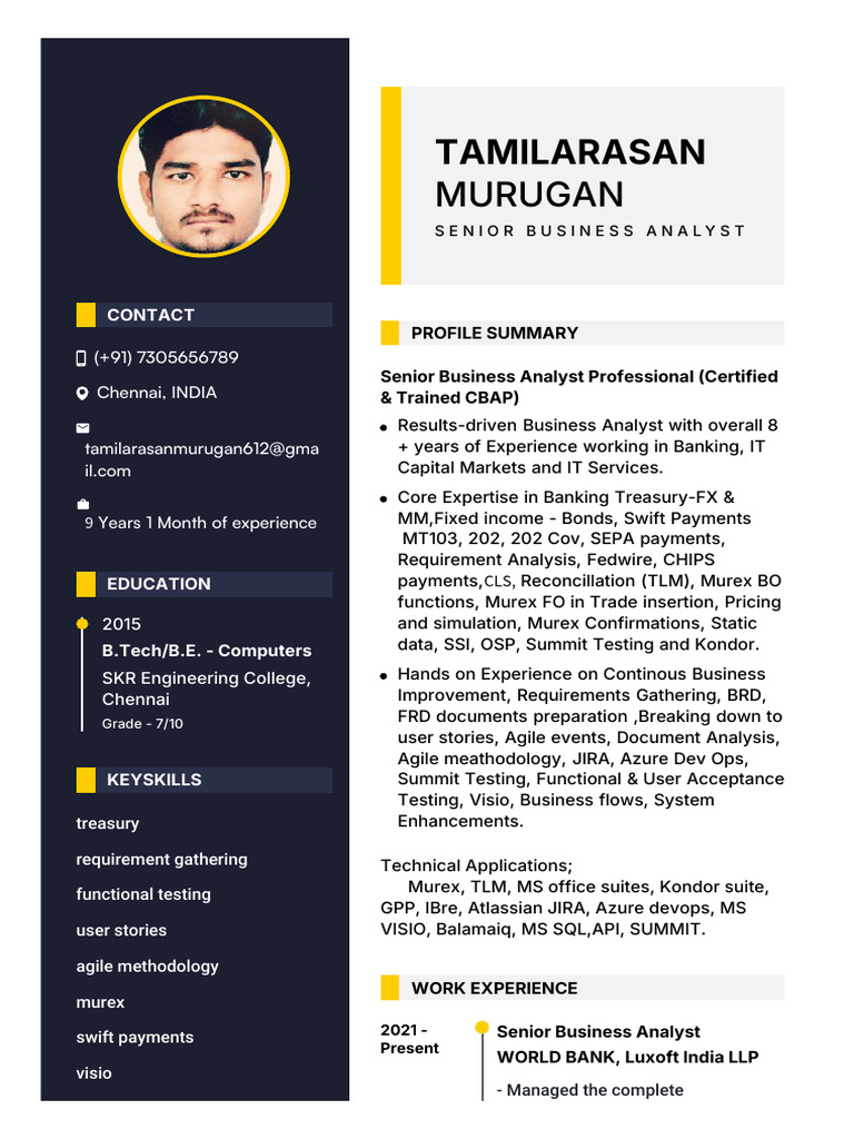 Senior Business Analyst Profile Summary | PDF | Scrum (Software ...