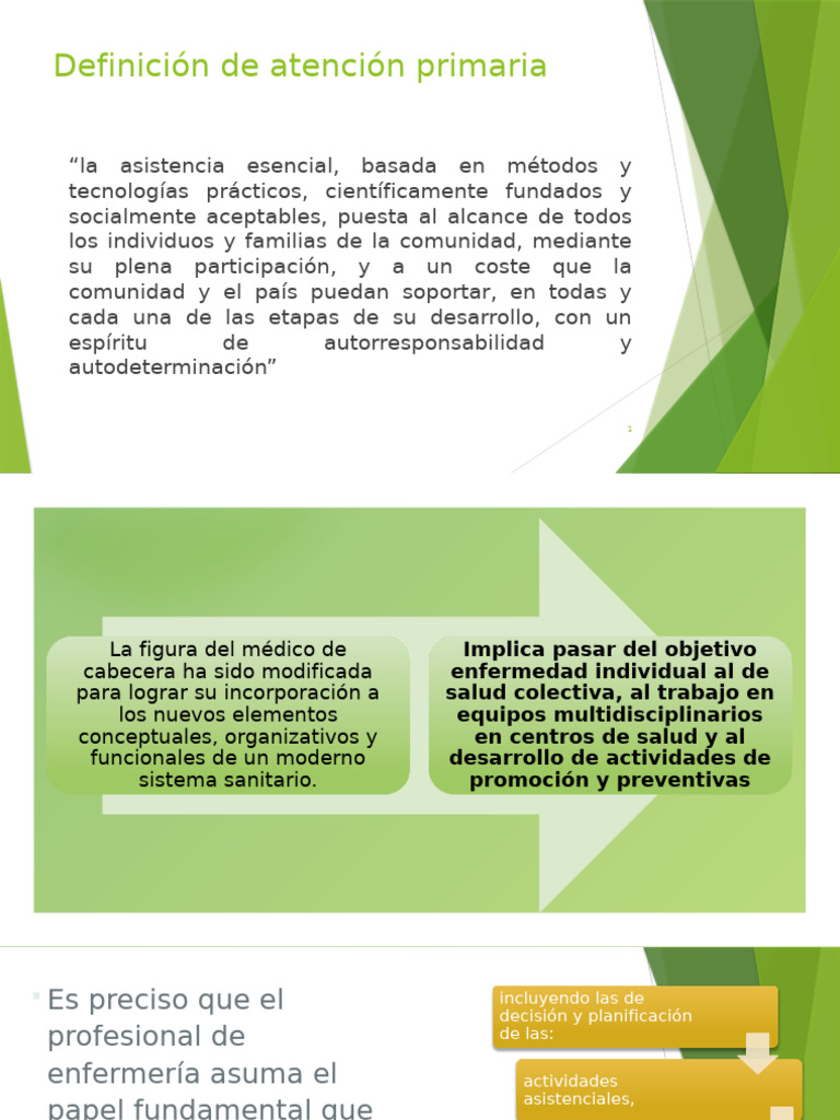 Conceptos Clave de Atención Primaria | PDF | Promoción de la salud ...