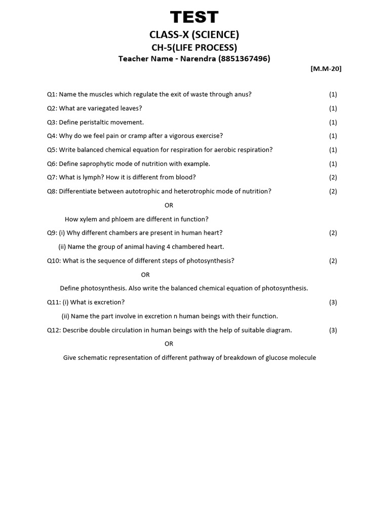 10th Life Process | PDF