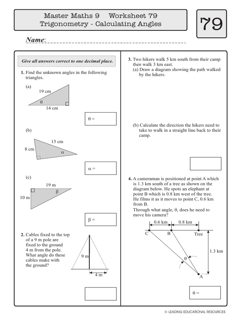 Trigonometry Worksheet: Angle Calculations | PDF