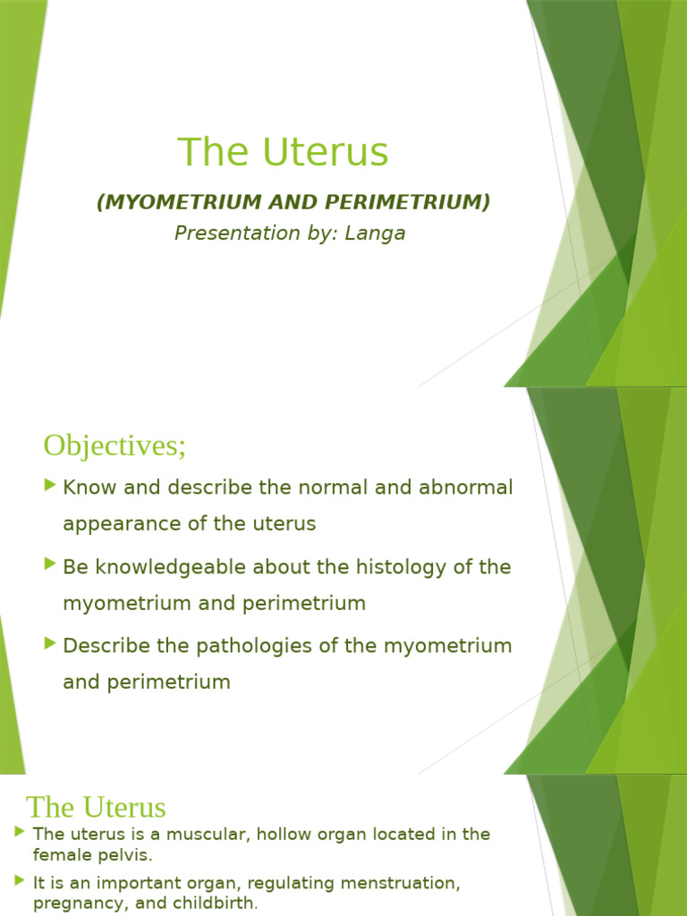 Myometrium: Structure and Pathologies | PDF | Uterus | Animal Female ...