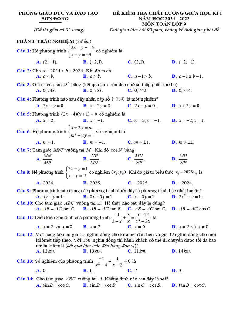 De Giua Hoc Ki 1 Toan 9 Nam 2024 2025 Phong GDDT Son Dong Bac Giang | PDF