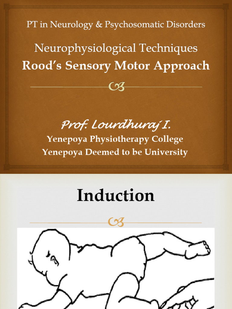 Understanding Ontogenic Motor Patterns | PDF | Muscle Contraction ...